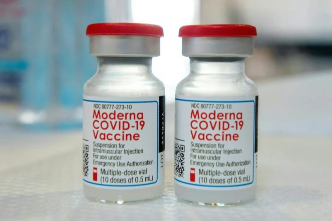   Attention à ces images qui prétendent montrer au microscope d'inquiétants "objets vivants" dans les vaccins