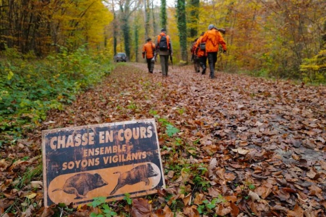   Non, un panneau "chasse en cours" n'oblige pas les promeneurs à rebrousser chemin