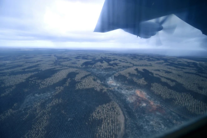Vue aérienne des forêts calcinées sur l'île Kangourou, le 15 jnavier 2020 en Australie