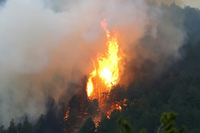 Un incendie de forêt en Corse en octobre 2017