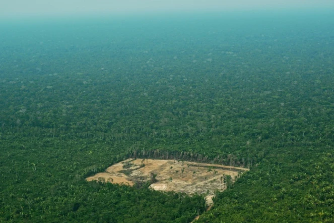 Vue aérienne de la forêt amazonienne au Brésil, en septembre 2017