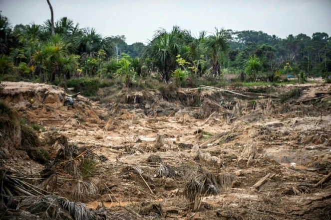 Une zone endommagée de la forêt amazonienne après l'installation d'une mine illégale, le 1er septembre 2019 près de Puerto Maldonado, au Pérou