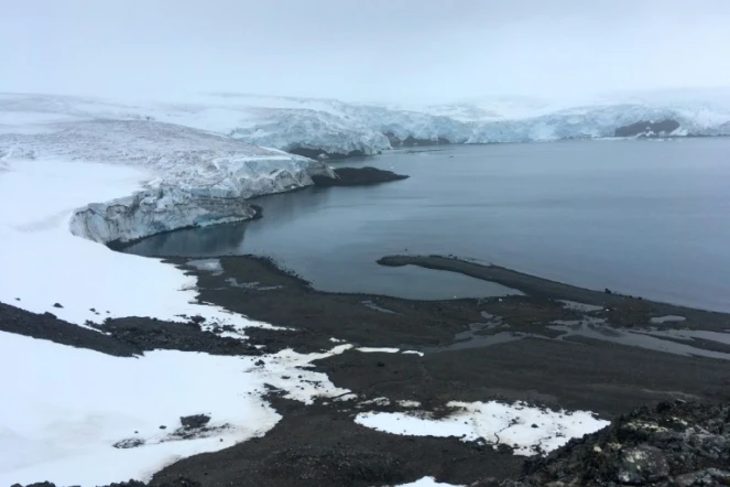 Le glacier Collins sur l'île du Roi Georges, le 2 février 2018 en Antarctique