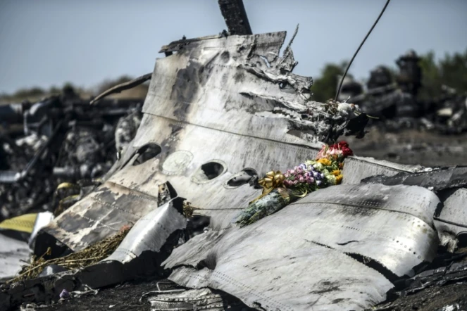 Des fleurs apportées posées sur des débris du MH17, le 26 juillet 2014 à Grabove, dans la région de Donetsk, en Ukraine