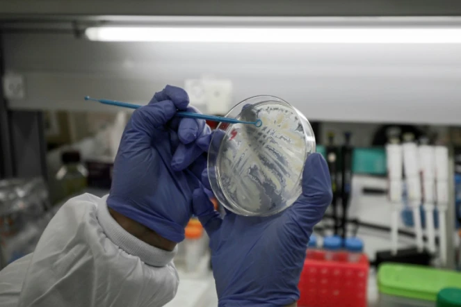 Berlin affirme vouloir défendre ses laboratoires pharmaceutiques travaillant sur un vaccin contre le coronavirus face aux appétits étrangers