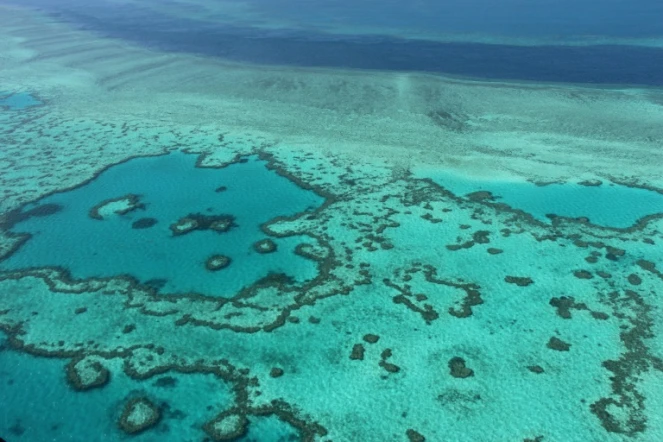 Photo aérienne de la grande barrière de corail australienne, en novembre 2014