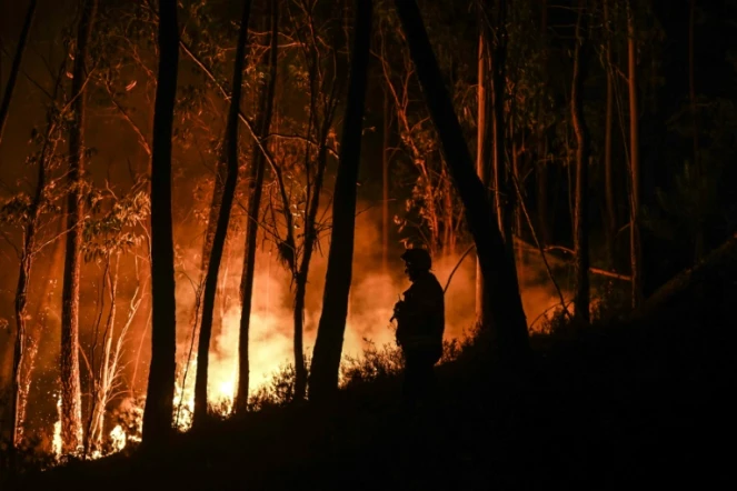 Pompiers combattant un incendie de forêt à Casais do Vento, au Portugal, le 10 juillet 2022