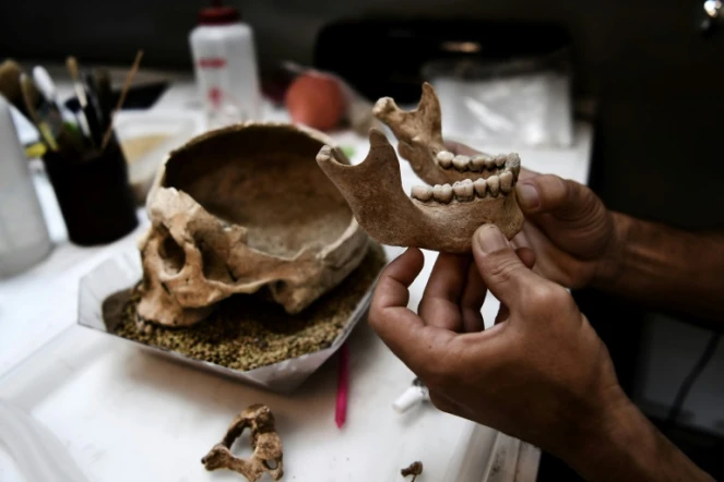 Un archéologue travaille sur un crâne humain dans un laboratoire de l'Ecole américaine d'archéologie d'Athènes, le 7 juillet 2017