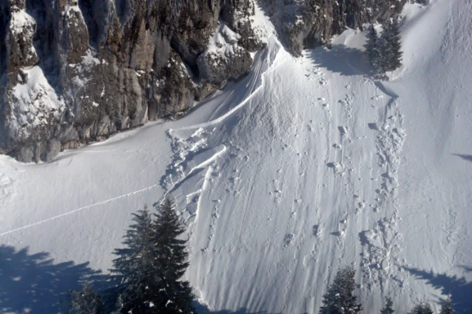 Photo réalisée par la compagnie CRS des Alpes le 17 février 2012 au Grand Som dans le massif de Chartreuse en Isère, à la suite d'une avalanche 