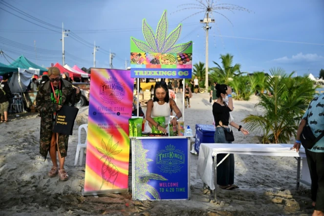 Une marchande de produits à base de cannabis lors d'un festival promouvant cette drogue désormais légale, à Nakhon Pathom, en Thaïlande, le 11 juin 2022