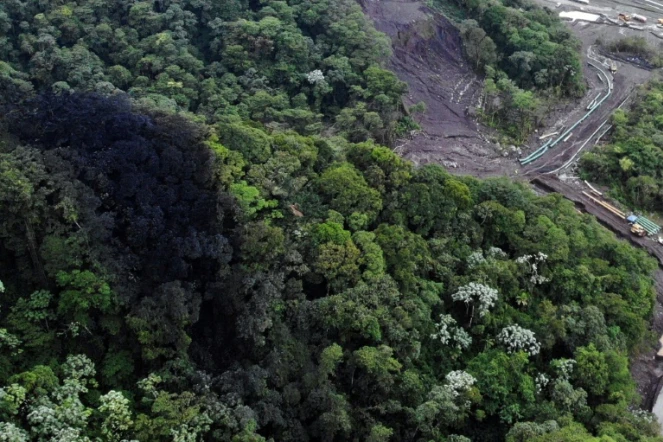 Vue aÃ©rienne de la fuite de pÃ©trole Ã  Piedra Fina, province amazonienne de Napo, le 31 janvier 2022 en Equateur
