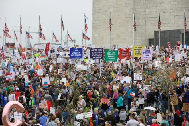 Des manifestants sur le National Mall, à Washington, le 5 avril 2025