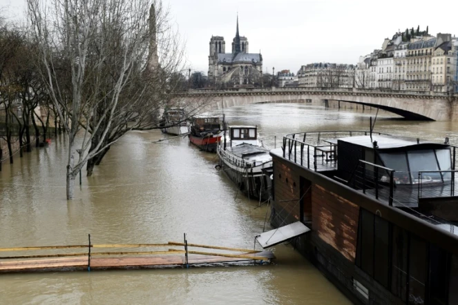 La Seine en crue à Paris, le 22 janvier 2018