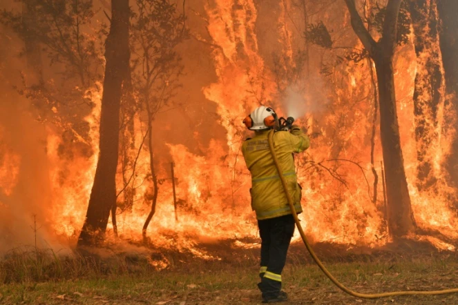 Un pompier effectue des brûlis préventifs pour protéger des zones d'habitation, le 10 décembre 2019 au nord de Sydney