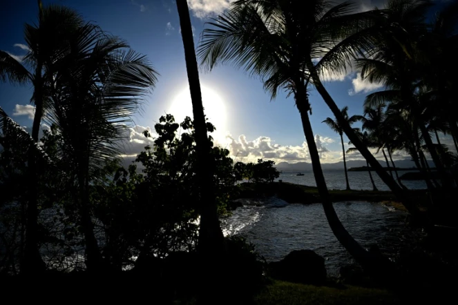 Le soleil se couche derrière les palmiers du Gosier, près de Pointe-à-Pitre, en Guadeloupe, le 22 novembre 2021