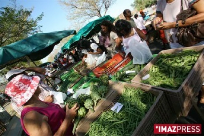 Légumes verts au marché forain