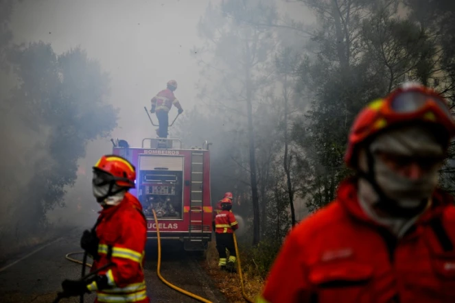 Des pompiers combattent des feux de forêt à Sardoal, au Portugal, le 17 août 2017
