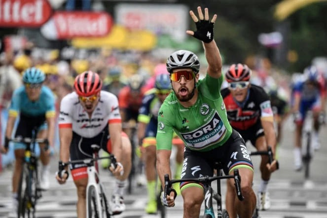 Le Slovaque Peter Sagan remporte au sprint la 13e étape du Tour de France, le 20 juillet 2018 à Valence (Drôme)   