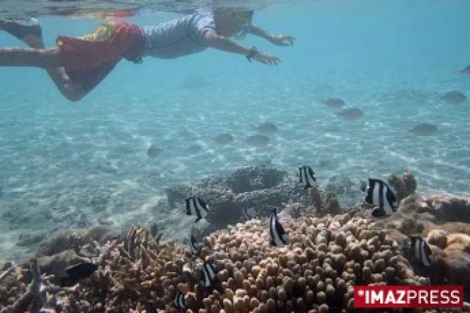 Photos sous-marine dans le lagon