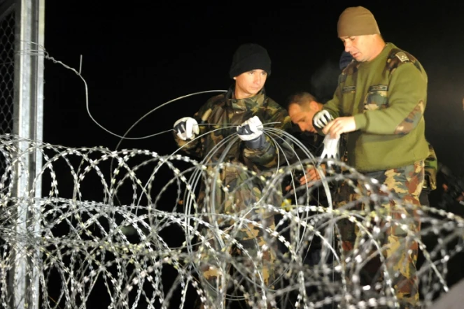 Soldats et policiers hongrois achèvent de mettre les derniers barbelés pour fermer la frontière entre la Hongrie et la Croatie à Botovo, le 16 octobre 2015