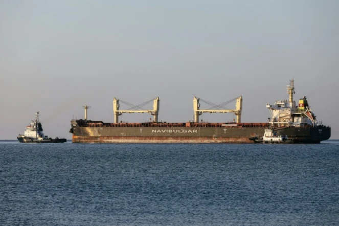 Le cargo Rojen, sous pavillon maltais, fait route vers l'Angleterre depuis Tchernomorsk en Ukraine, avec 13.000 tonnes de mais, le 5 août 2022