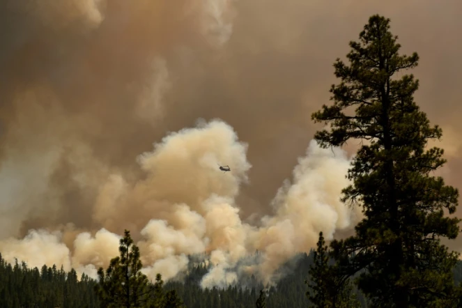 L'incendie Dixie ravage une zone près de Susanville, en Californie, le 18 août 2021