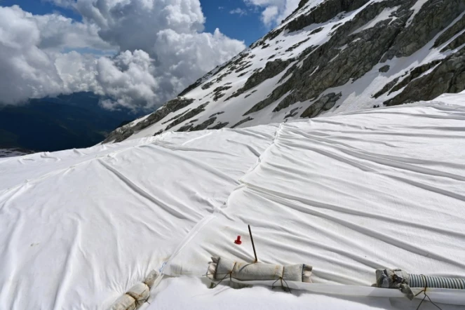 Le glacier de Presena, en Italie, recouvert de bâches blanches pour le protéger du réchauffement climatique, le 19 juin 2020
