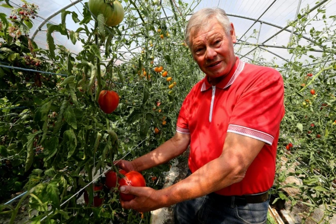 L'agriculteur français Jean-Claude Terlet, dans son exploitation de Celles-sur-Aisne, dans le nord de la France, le 17 août 2018