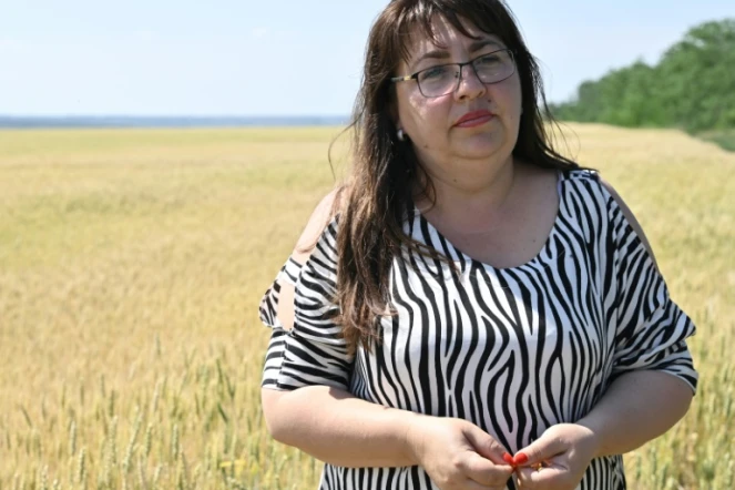 L'agricultrice ukrainienne Nadia Ivanova devant un champ de blé à Mykolaïv, dans le sud de l'Ukraine, le 11 juin 2022