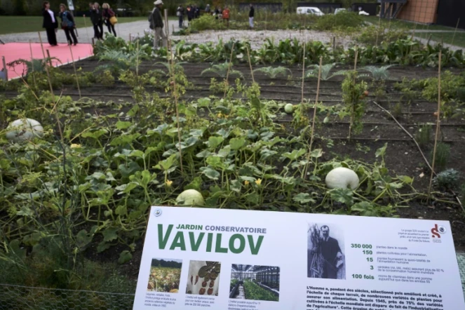 Un jardin de plantes venant de l'Institut russe Vavilov existe depuis 2016 à Ecully
