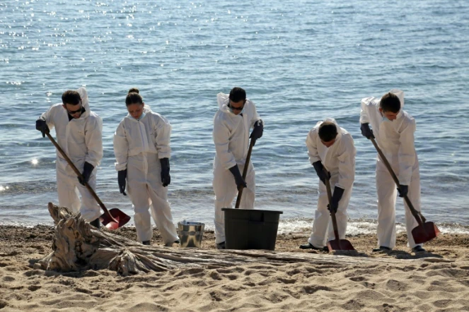 Des pompiers et des membres de la sécurité civile nettoient la plage de Solaro après une pollution aux hydrocarbures, le 14 juin 2021 en Haute-Corse