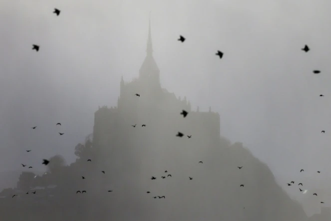 Des oiseaux devant le Mont Saint-Michel (Manche), le 30 décembre 2022