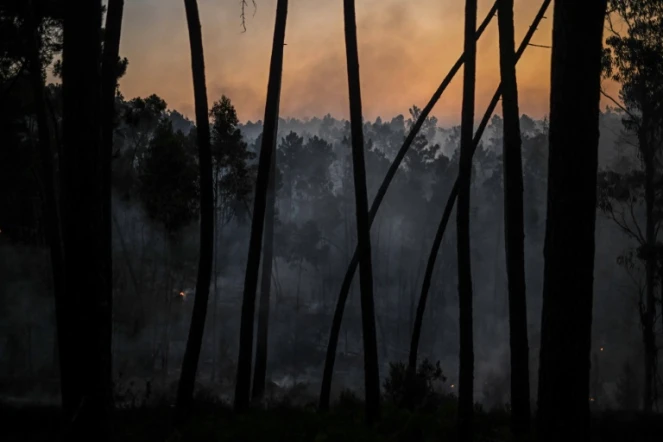 Incendies dans la zone de Casais do Vento à Alvaiazere (centre du Portugal), le 10 juillet 2022 