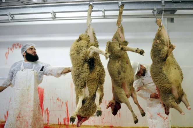 Des employés préparent des moutons avant l'Aïd al-Adha (fête du sacrifice musulmane) dans un abattoir du Mans le 4 octobre 2014 
