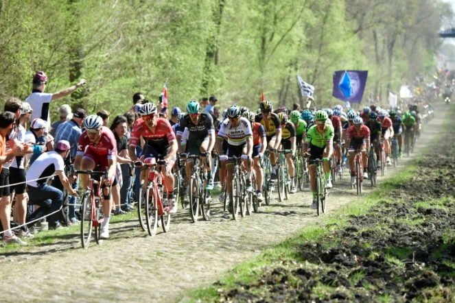 Le peloton roule sur une portion pavée, lors de la 115e édition de Paris-Roubaix, le 9 avril 2017