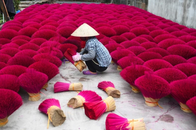 Collecte des bâtons d'encens séchés à l'approche du Nouvel an lunaire, à Quang Phu Cau près de Hanoï le 12 janvier 2022