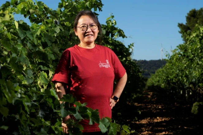 Nan Ping Gao, vigneronne d'origine chinoise et directrice générale adjointe du domaine viticole "Château Labastide", à Escales, dans l'Aude, le 30 juin 2022