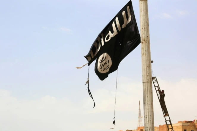 Un drapeau du groupe jihadiste Etat islamique (EI) décroché par un combattant kurde, le 30 avril 2017 dans la région de Raqa, en Syrie