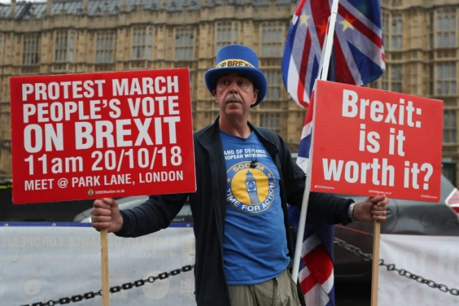 Steve Bray, un Gallois de 59 ans, ici le 17 octobre 2018, manifeste devant le Parlement à Londres à chaque session depuis plus d'un an en criant inlassablement: "Stop Brexit!"