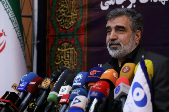Photo fournie par l'Organisation iranienne de l'énergie atomique (OIEA) montrant son porte-parole Behrouz Kamalvandi annoncer le 7 septembre 2019 devant la presse à Téhéran de nouvelles mesures dans le cadre d'une réduction des engagements de l'Iran en matière de nucléaire

