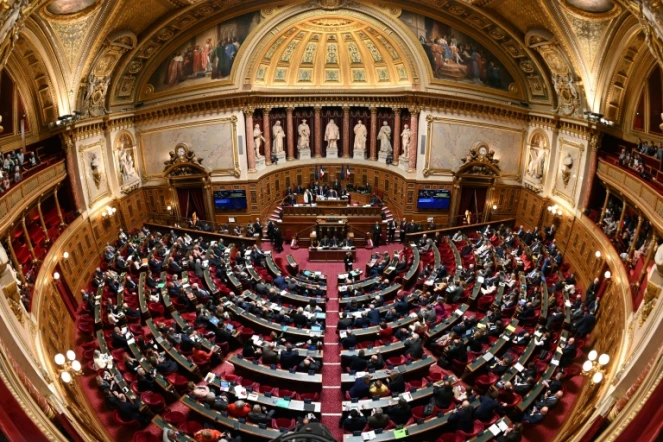 Une vue d'une séance au Sénat à Paris, le 2 avril 2024