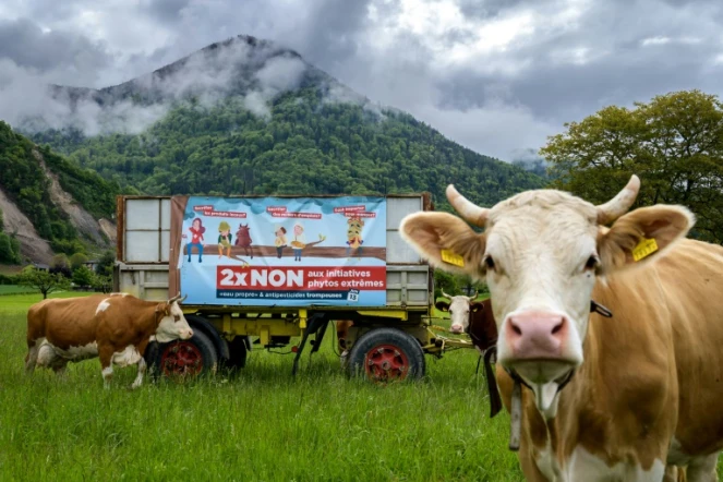 Affiches de campagne des opposants à l'interdiction des pesticides de synthèse, à Ollon, en Suisse, le 19 mai 2021