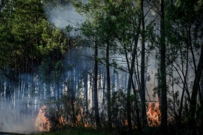 Incendie de forêt à Le Tuzan, le 27 juillet 2020 en Gironde