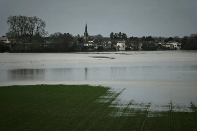 Crue de la Garonne à Podensac, le 3 février 2021