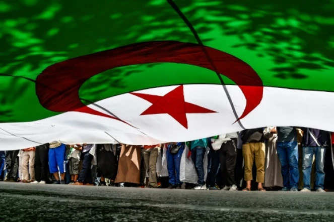 Des manifestants algériens brandissent un drapeau géant le 31 mai 2019 à Alger