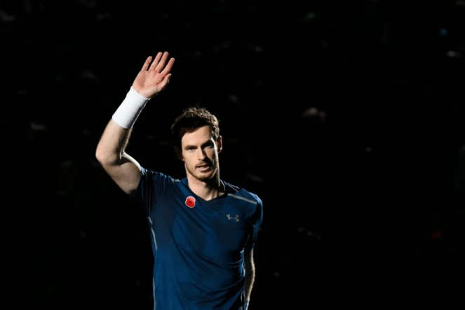 Le Britannique Andy Murray après son succès en finale du tournoi de Paris-Bercy, le 6 novembre 2016
