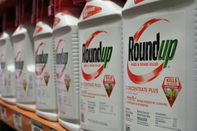 Des bouteilles du désherbant Roundup de Monsanto en vente dans un magasin de Glendale (Californie), le 19 juin 2018
