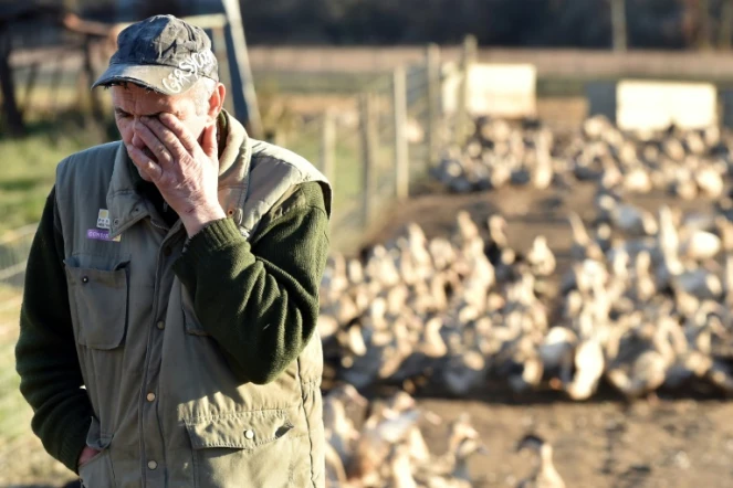 Bernard Dupuy, éleveur de canards, dans sa ferme le 5 décembre 2017 à Bars dans le sud-ouest de la France