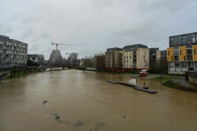 Crue de l'Ille au passage de la dépression Herminia, le 26 janvier 2025 à Rennes