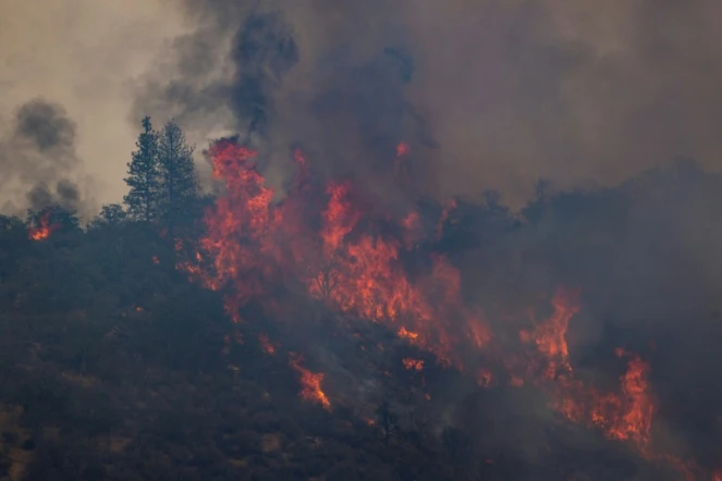 Un incendie ravage une forêt de Californie, le 2 août 2022
